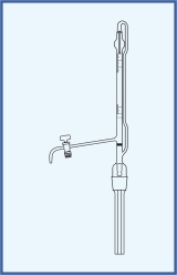 Glas-Küken, mit Schellbach-Streifen, Klasse AS